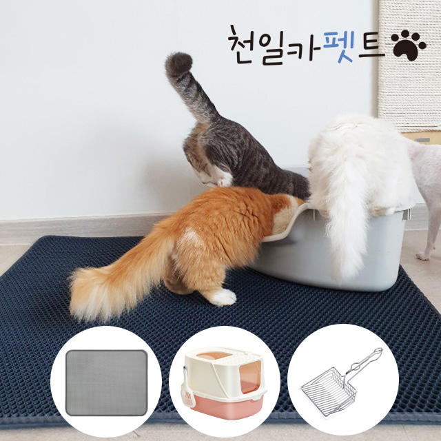 천일 뽈록이 냥냥매트 사막화방지 고양이화장실