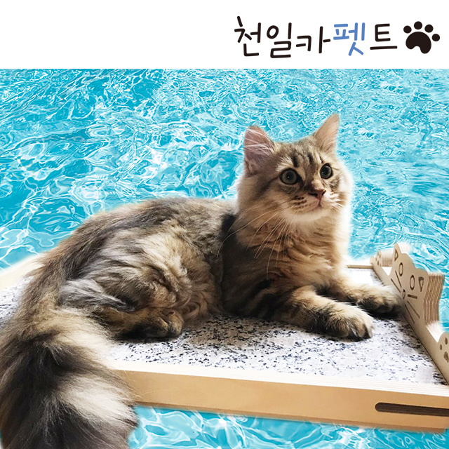 천일 강아지 고양이 애견 대리석 원목 쿨매트